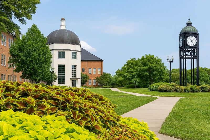 Elderly Bathtub Installation in O Fallon, MO