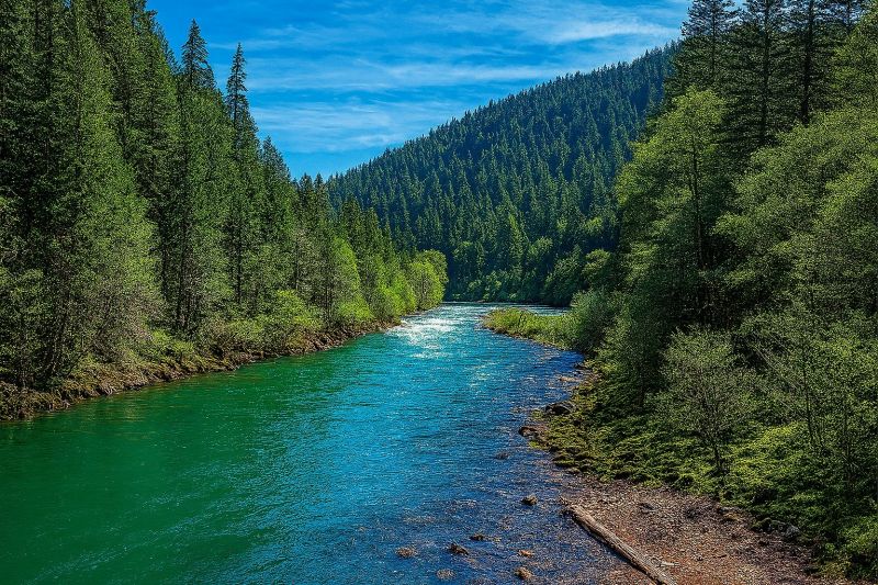 Elderly Bathtub Installation in Roseburg, OR