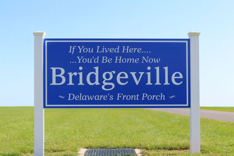 Handicap Bathtub Installation in Bridgeville, DE