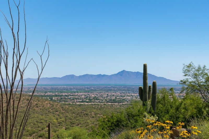 Hardwood Replacement in Casa Grande, AZ