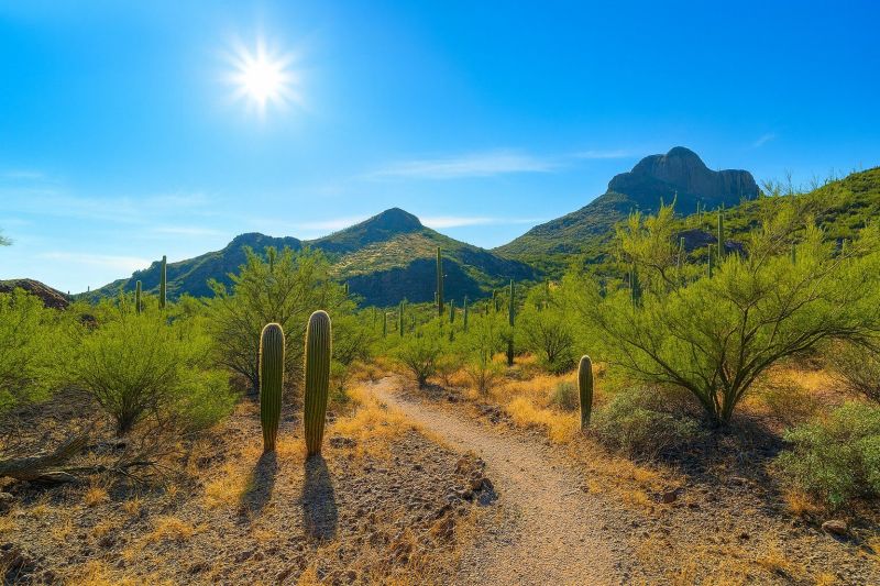 Water Softener Installation in Marana, AZ