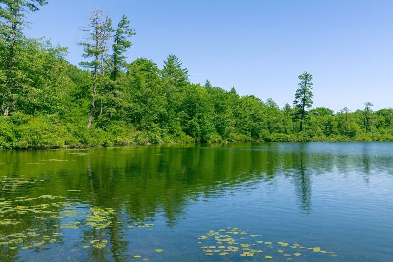 Water Softener Installation in Lake Ariel, PA