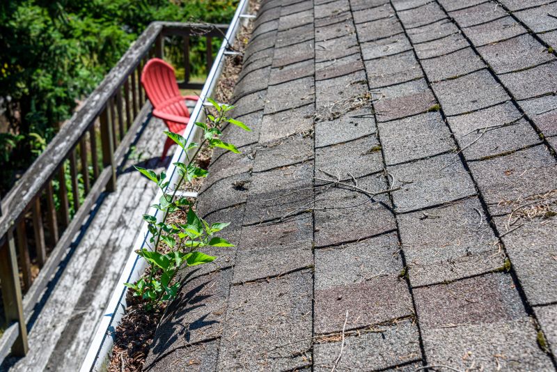Asphalt Shingles Cleaning