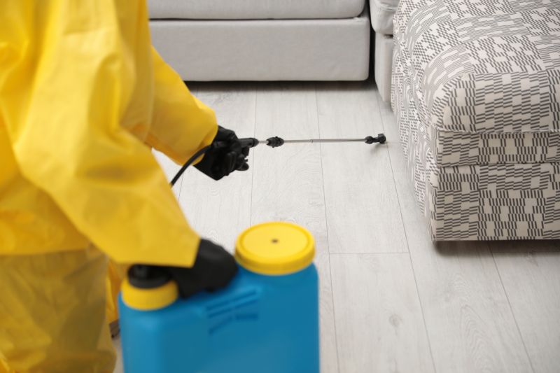 Bee Pest Control Service