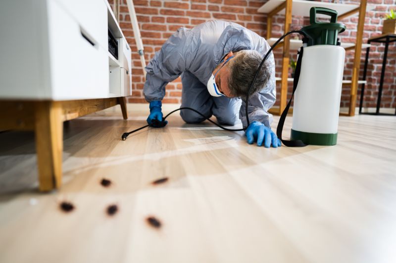 Bee Pest Control Service