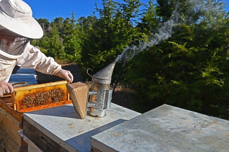 Bee Pest Control Service