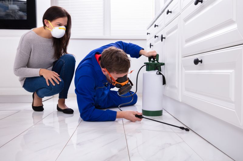 Bee Pest Control Service