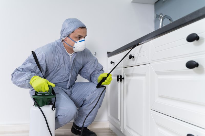 Bee Pest Control Service