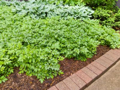 Brick Hardscape Installation