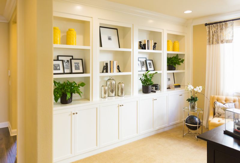 Built In Cabinetry Painting