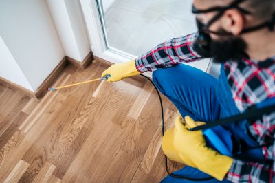 Cricket Removal Service