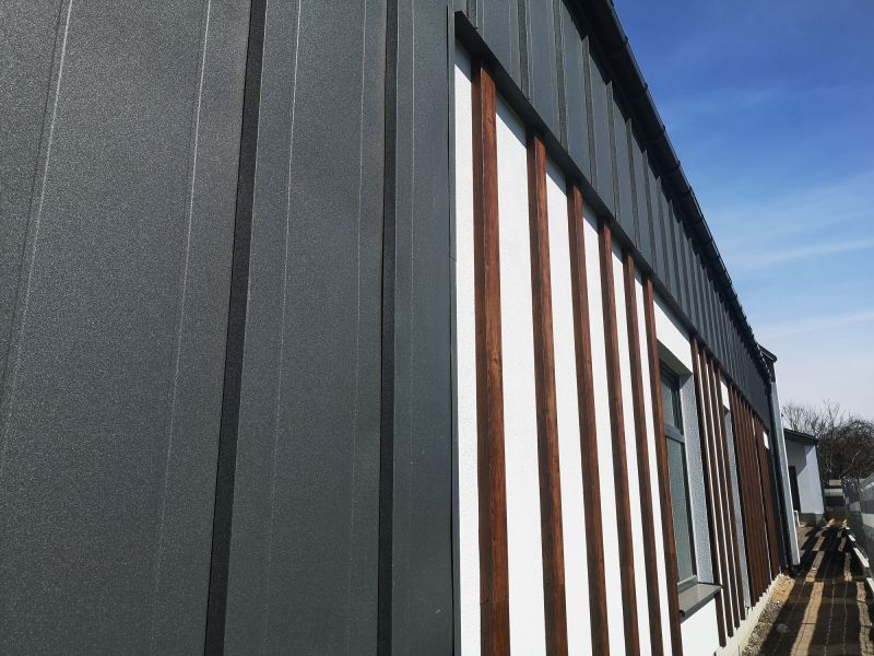 Exterior Cladding Painting