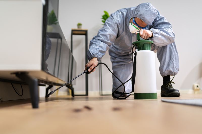 Fly Infestation Extermination