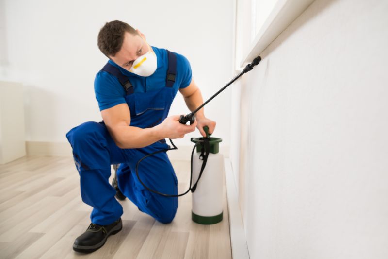 Ground Bees Removal