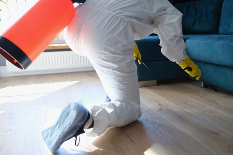 Insect Extermination Service