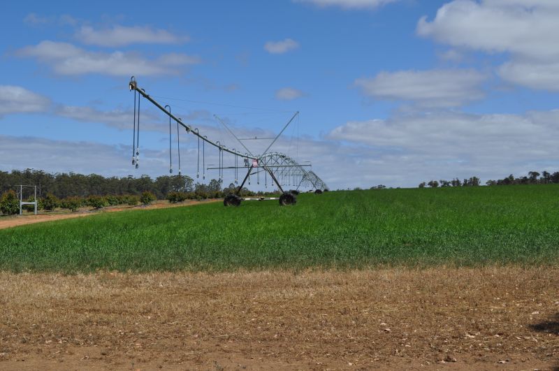 Irrigation System Installation