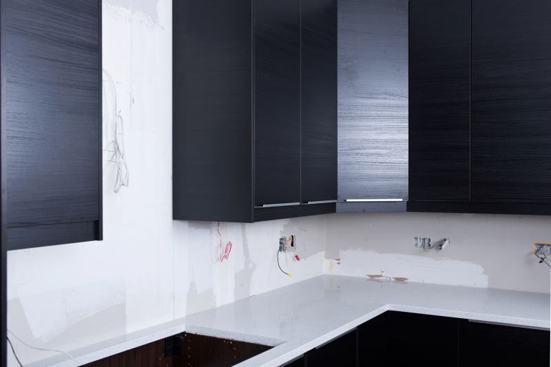 Kitchen Cabinets Painting