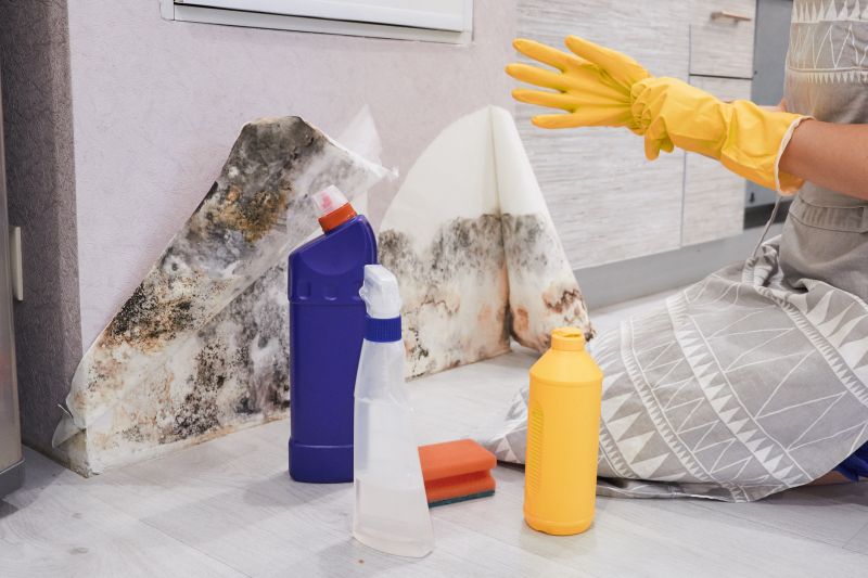 Mold Abatement Service