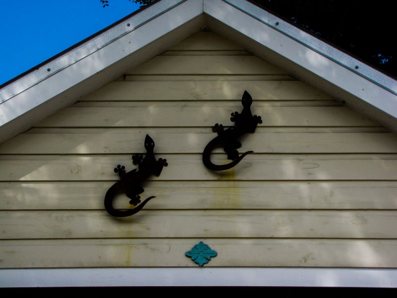 Shiplap Painting