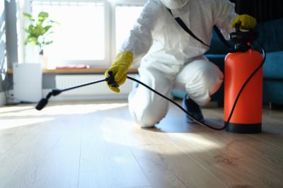 Spider Extermination Service