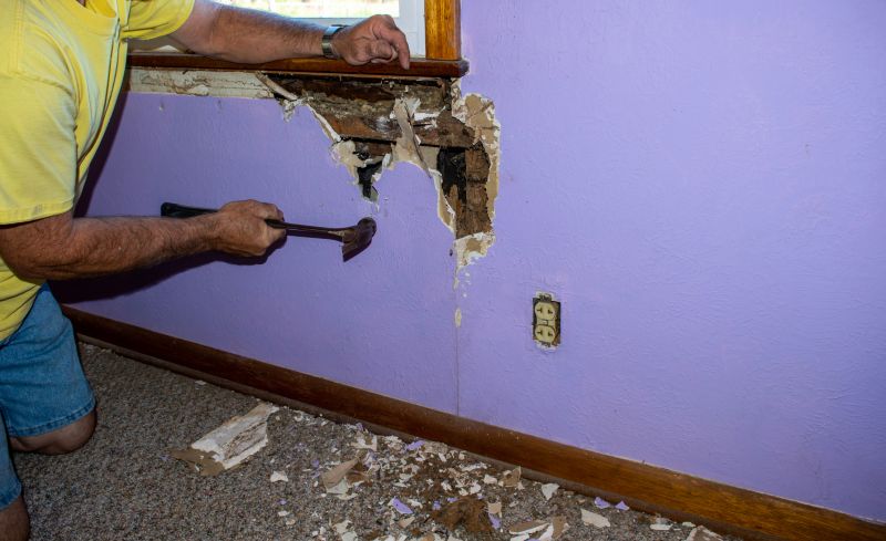 Termite Damage Repair Service