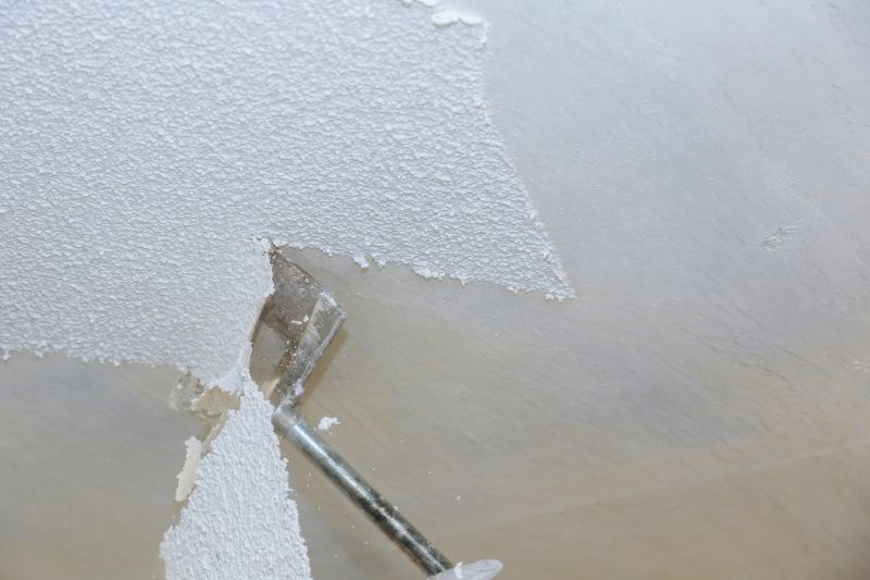 Textured Ceiling Removal