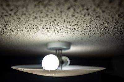 Textured Ceiling Removal