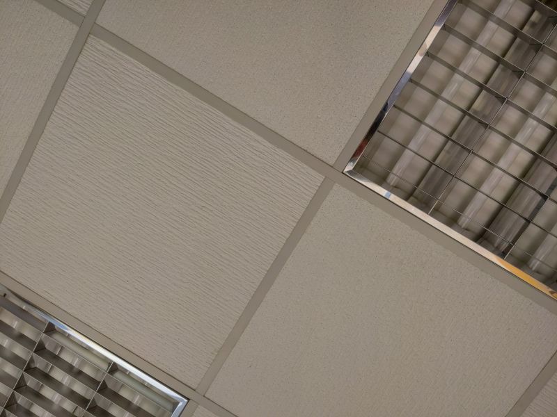 Textured Ceiling Removal