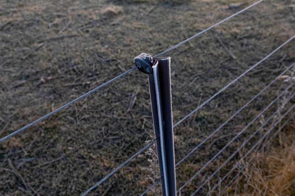 Electric Fence Installation