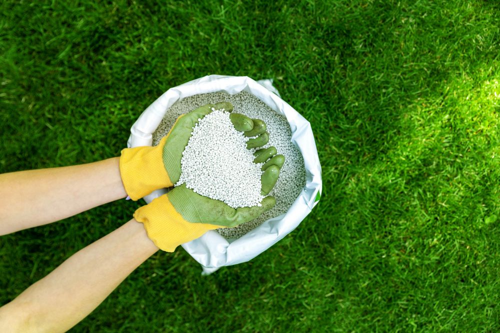 Lawn Restoration