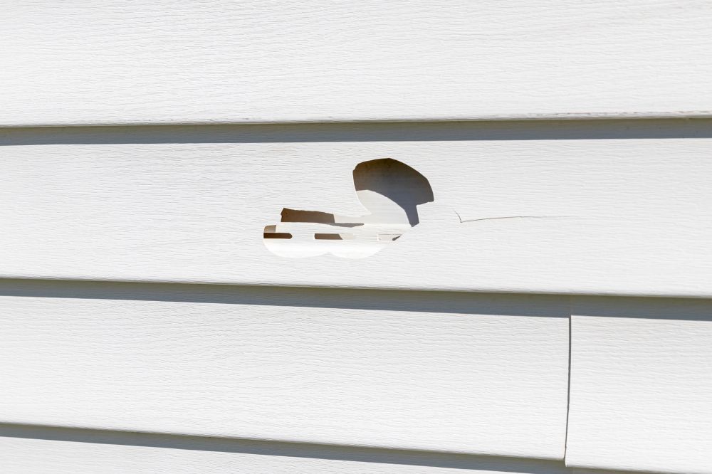 Siding Patch Repair