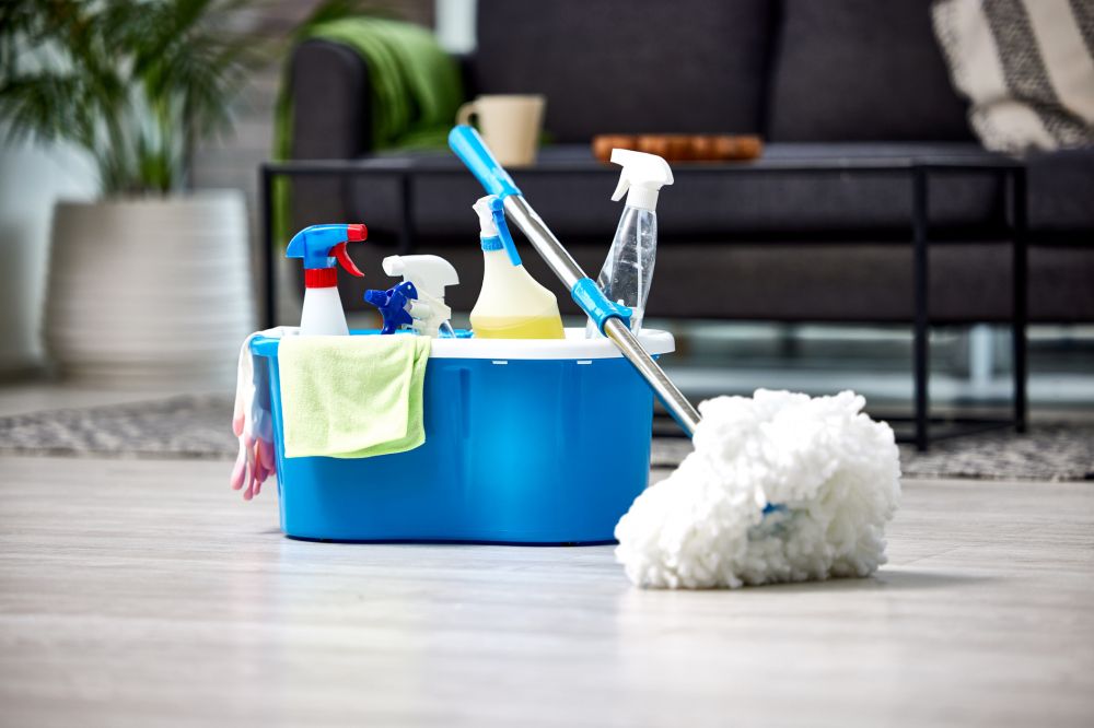 Spring Cleaning Service