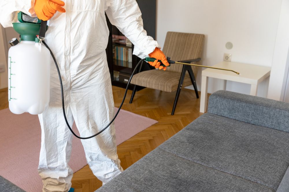Pest Treatment