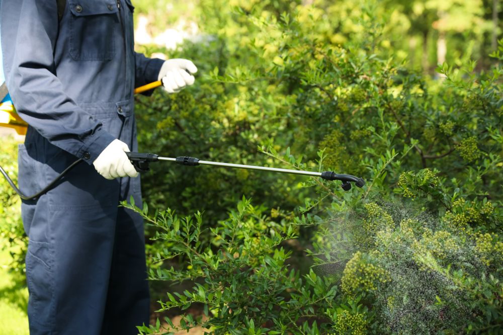Outdoor Pest Management