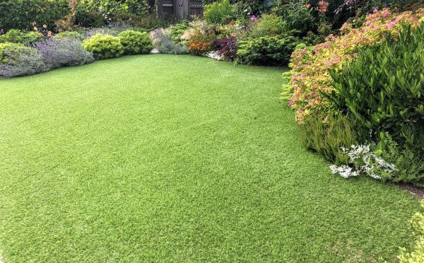 Synthetic Turf Repair
