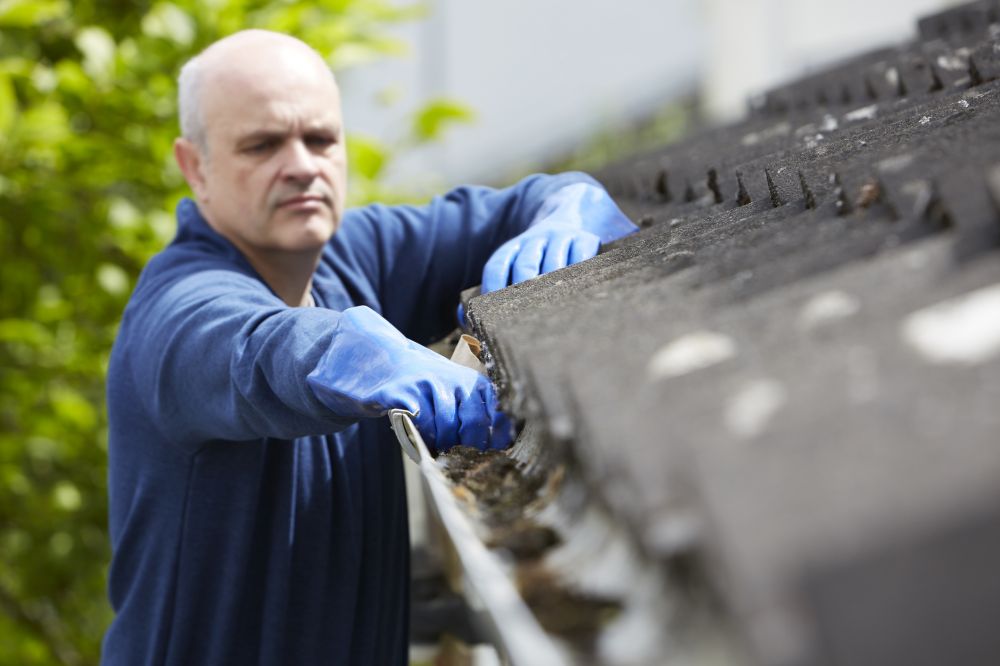 Gutter Cleaning Business