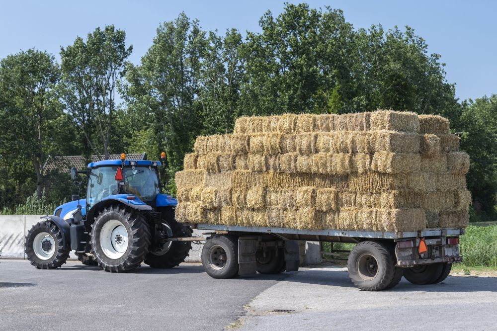 Bulk Straw Delivery Service