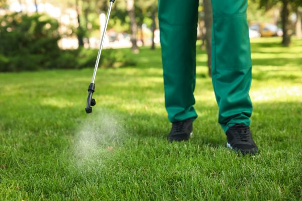 Lawn Insect Control