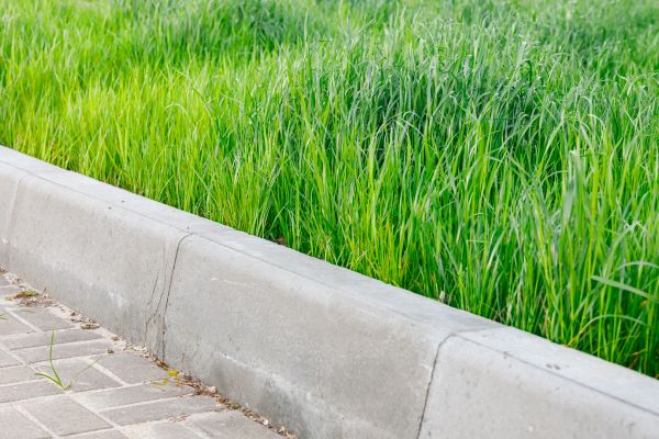 Curb Reconstruction