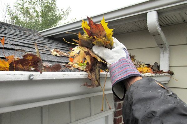 Eaves Cleaning