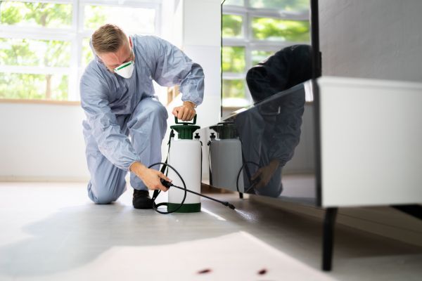 Residential Pest Extermination